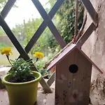 Dolce Dimora * Siena