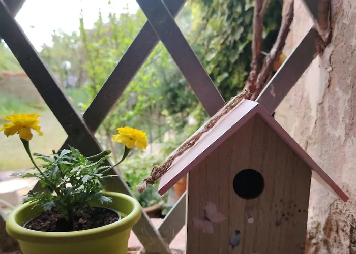 Dolce Dimora * Siena